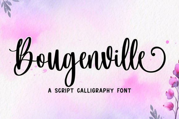 Bougenville Script Amp Font Review