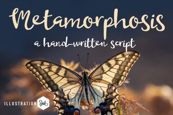 Metamorphosis: A Quirky Script Amp for Modern Blog Design